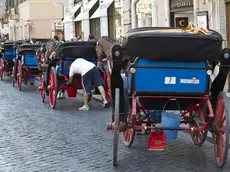Queue of horse carts in Piazza di Spagna in Rome, 30 July 2012. Fila di ''botticelle '' a piazza di Spagna, Roma, 30 luglio 2012 ANSA/MASSIMO PERCOSSI