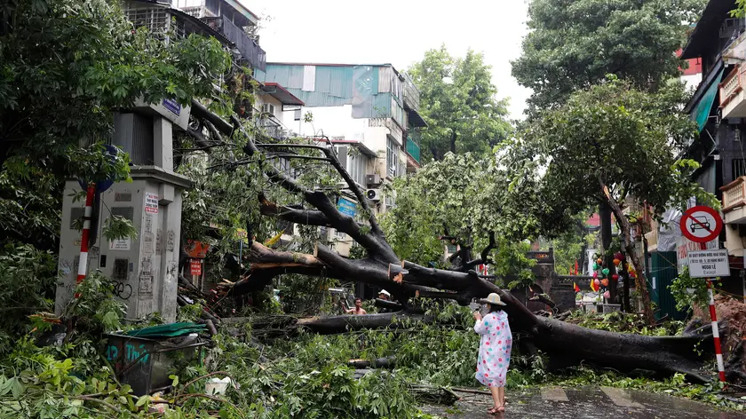 epa11592885 A woman stands next to a fallen tree after typhoon Yagi's landfall in Hanoi, Vietnam, 08 September 2024. Typhoon Yagi, Asia's most powerful storm so far this year, made landfall in northern Vietnam on 07 September, killing 14 people and injuring 220 others, according to statistics from the Vietnam Disaster and Dyke Management Authority under the Ministry of Agriculture and Rural Development. EPA/LUONG THAI LINH