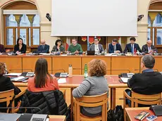 Il sindaco di Pordenone non intende procedere a un rimpasto © Foto Petrussi / Marco Brisotto