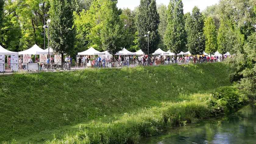 FESTA DEL NONCELLO, VIA RIVIERASCA