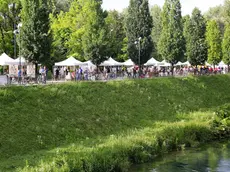 FESTA DEL NONCELLO, VIA RIVIERASCA